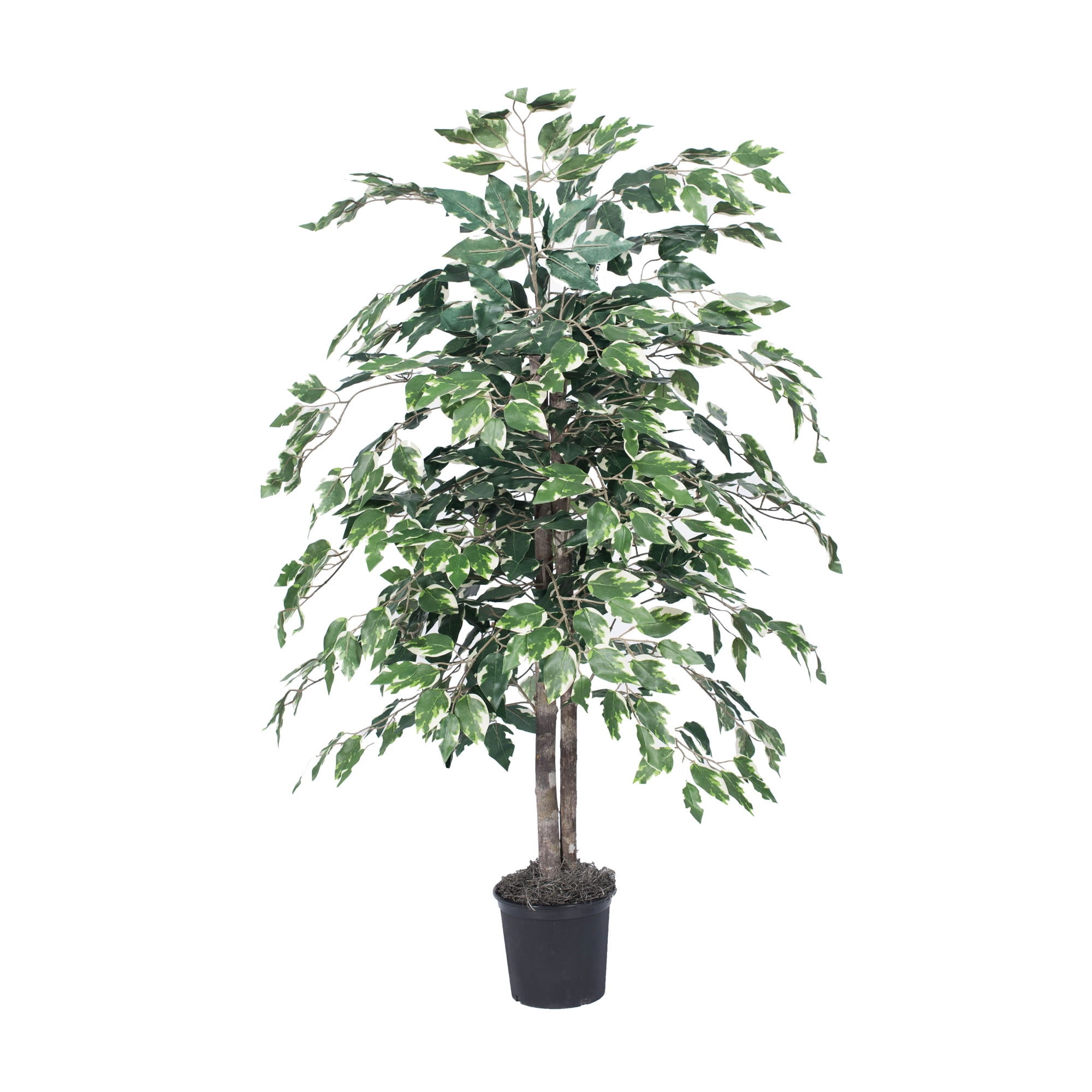 Vickerman 4' Artificial Variegated Ficus Bush, Black Plastic Pot.