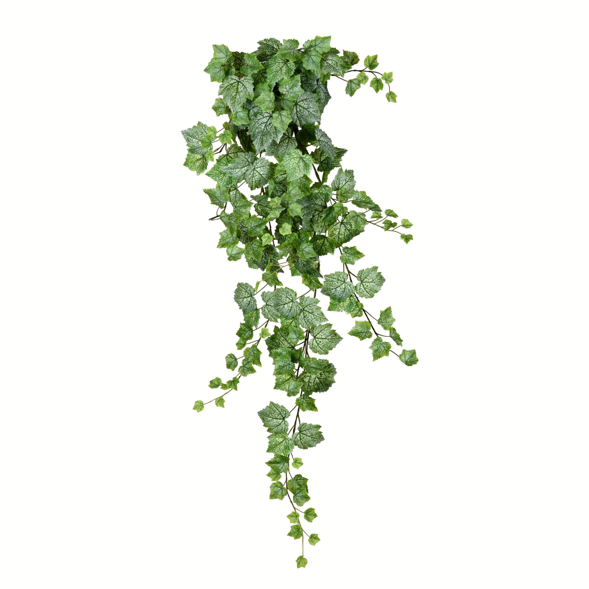 Vickerman 51" Artificial Green & White Grape Leaf Ivy Hanging Bush.