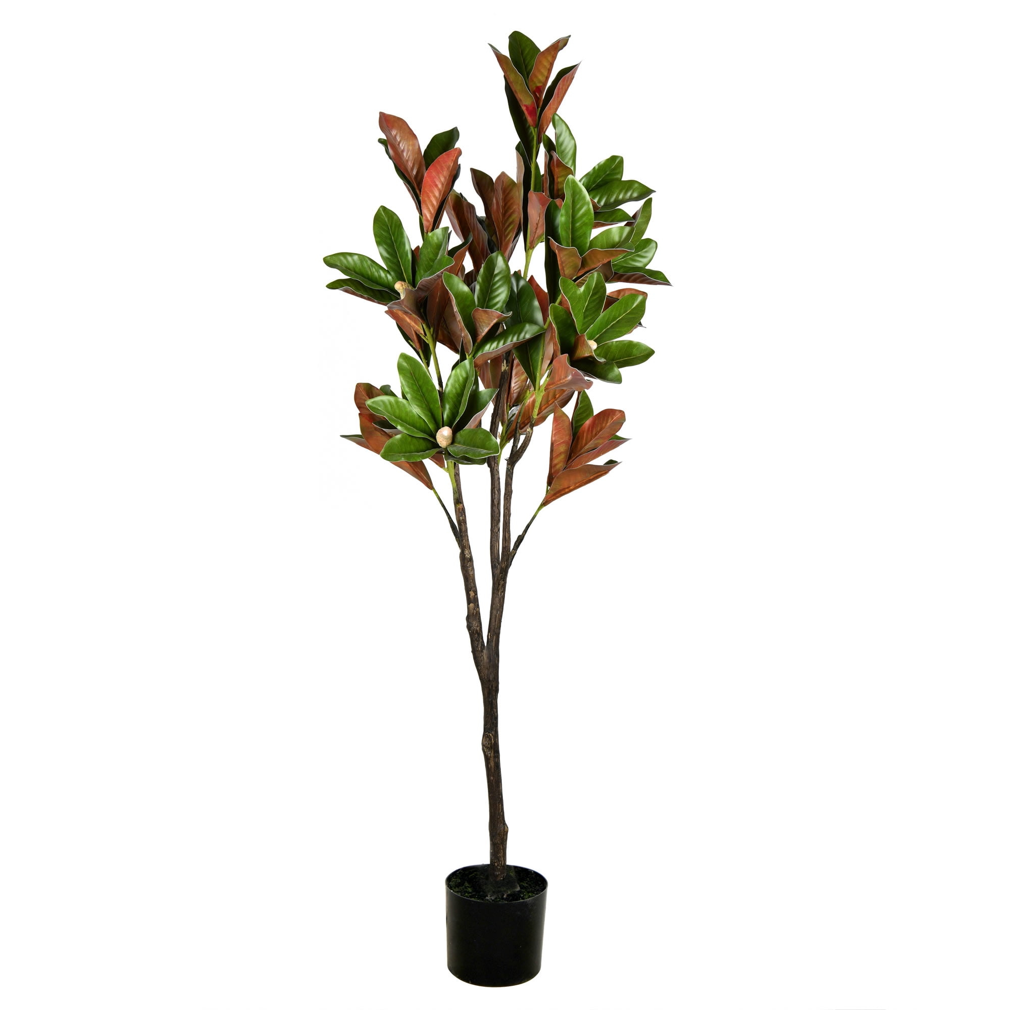 Vickerman 6' Artificial Green Magnolia Tree in Black Planters Pot.