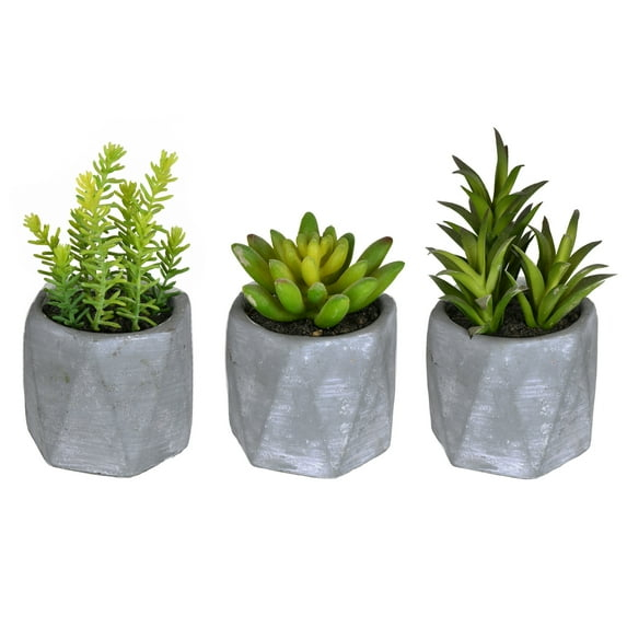 Vickerman 6" Artificial Potted Succulent Arrangements, Set of 3.
