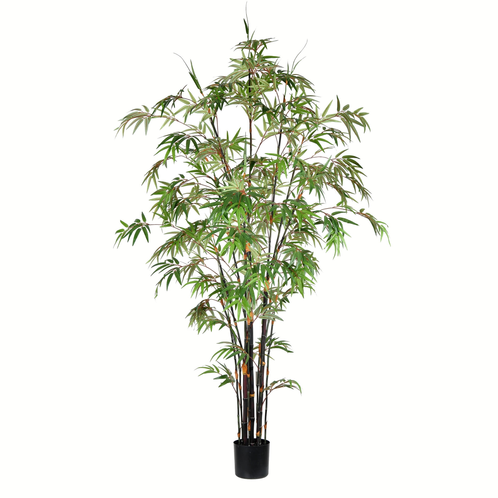 Vickerman 7' Artificial Potted Black Japanese Bamboo Tree. In a 7"Lx7"Wx6"H base.