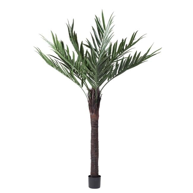 Vickerman 72" Artificial Kentia Palm.