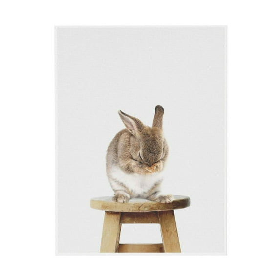 WFSposter Cute Shy Bunny Rabbit Animal Print Portrait Framed Canvas Wall Art,18x24 Natural Whimsical Baby Animal Art for Home Decoration
