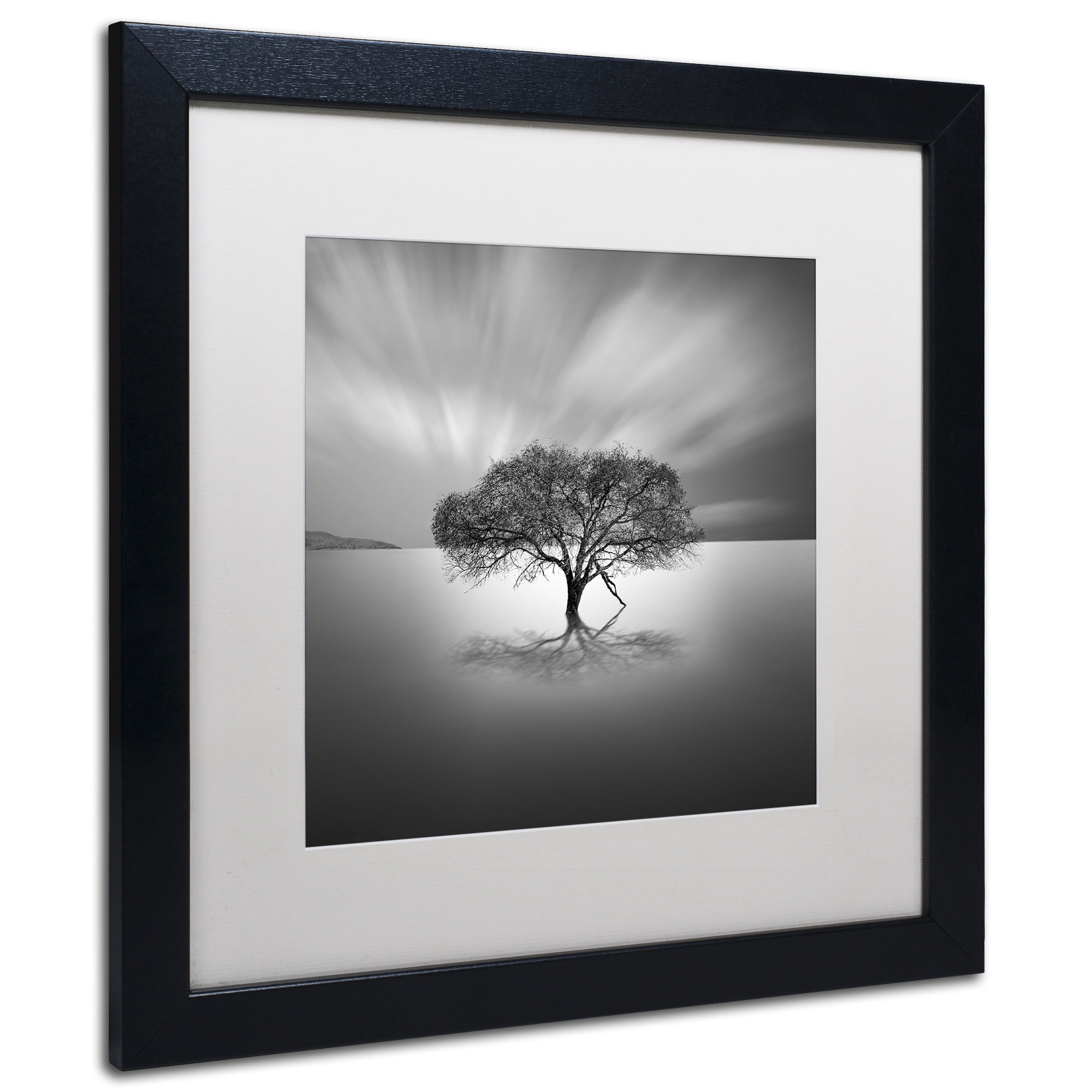 Trademark Fine Art - Moises Levy 'Water Tree VIII' Matted Framed Art