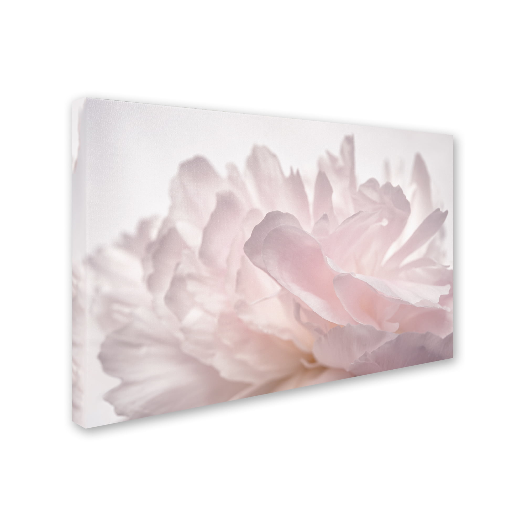 Trademark Fine Art -Cora Niele 'Pink Peony Petals V' Canvas Art - 22''x32''