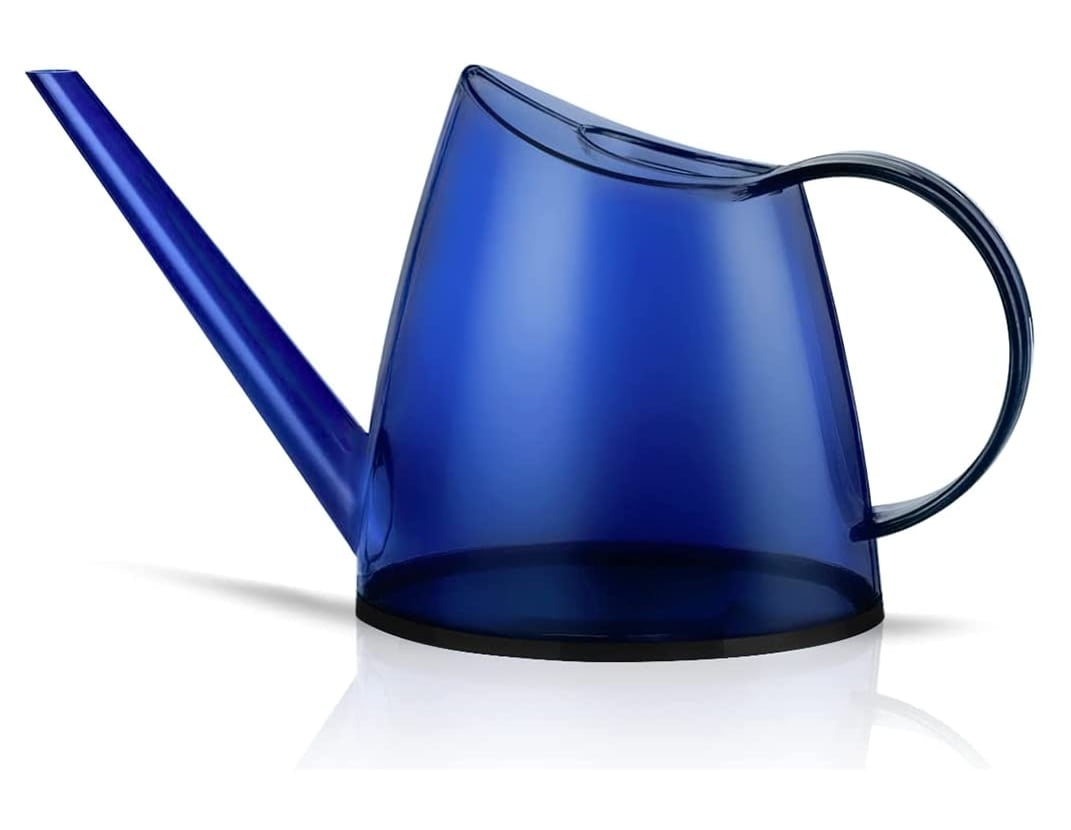 WhaleLife Indoor Watering Can for House Bonsai Plants Garden Flower Long Spout 40oz 1.4L PS Resin Pot (Blue)