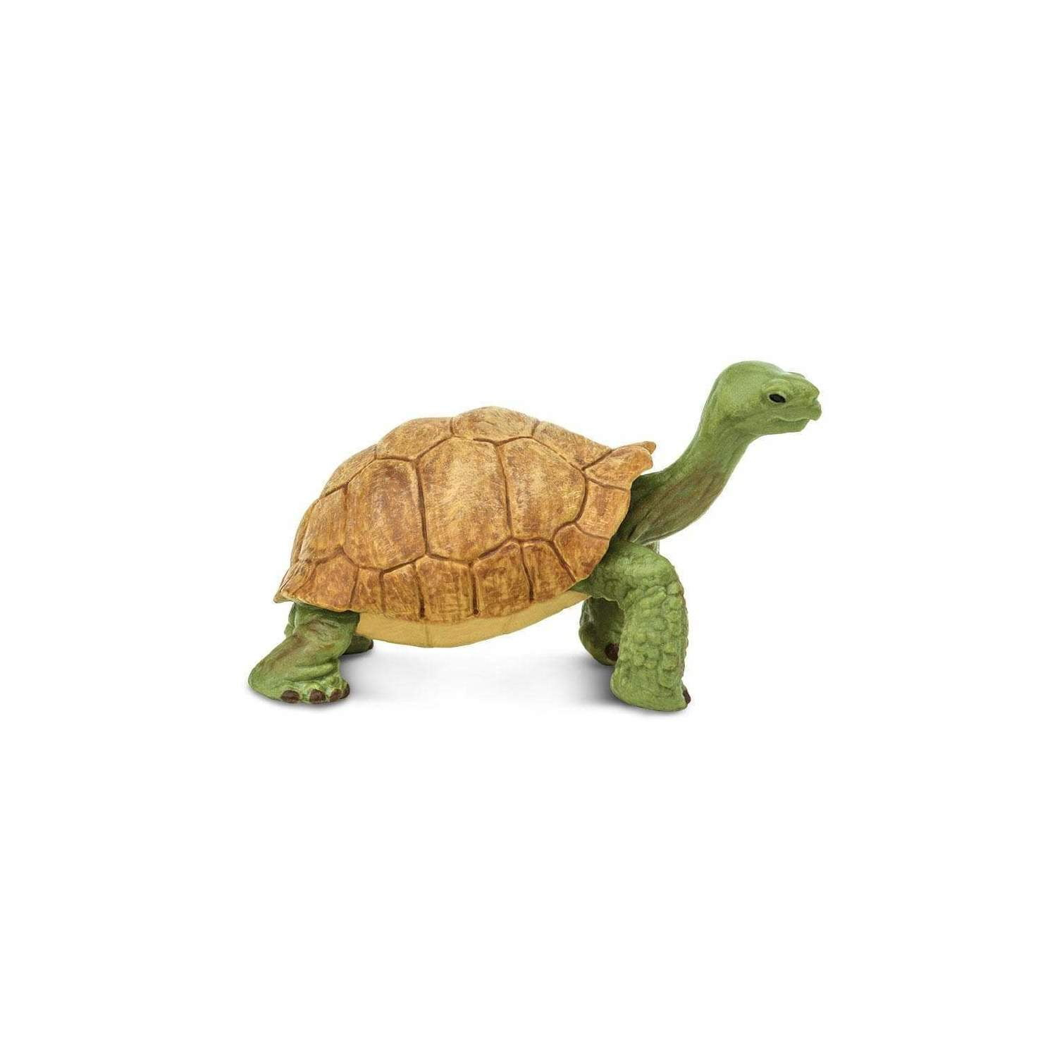 Safari Ltd. Giant Tortoise Figurine - Lifelike 3" Figure - Educational Toy for Boys, Girls, and Kids Ages 3+