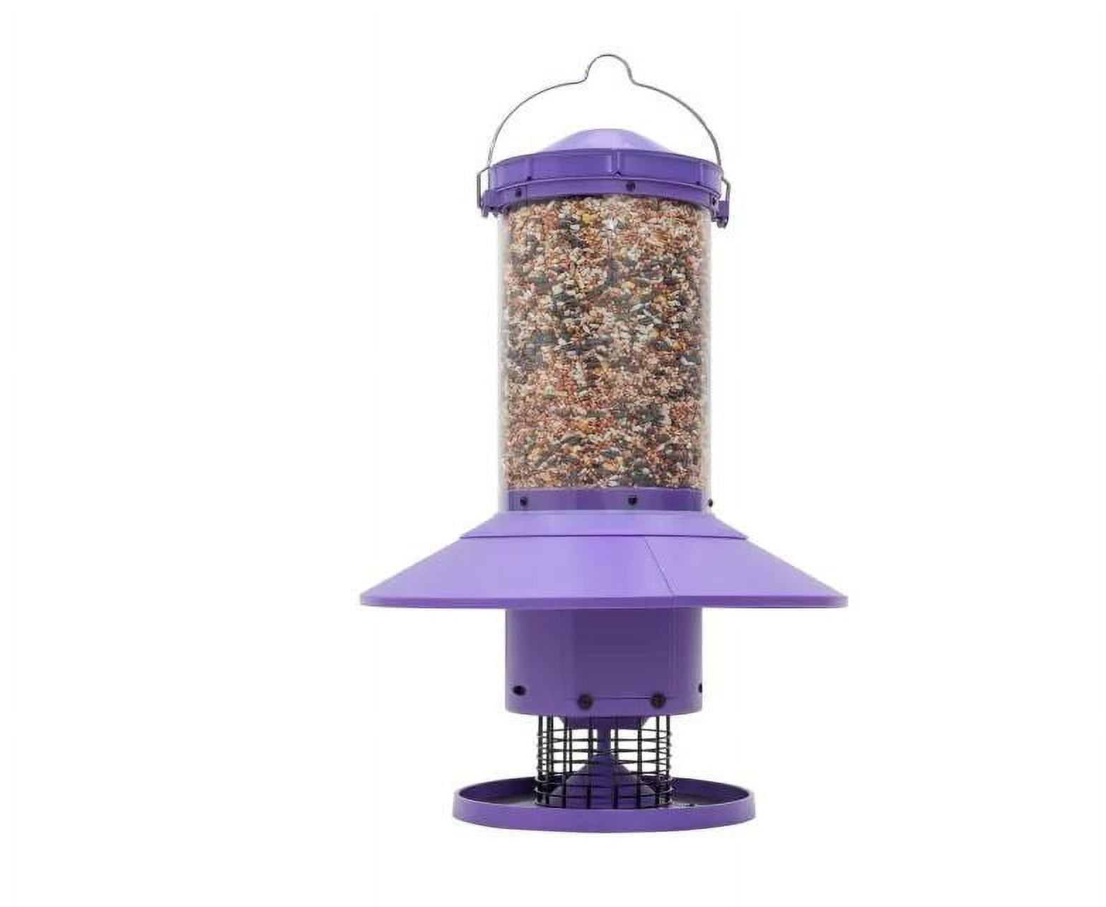 Wingscapes Autofeeder Squirrel-Resistant Bird Feeder with X-Large Capacity and Timer Control Settings, Wisteria Purple