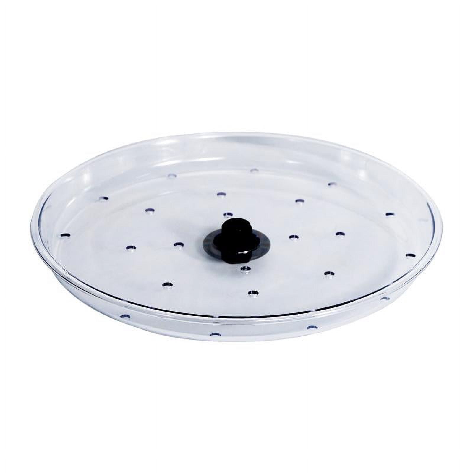 Audubon Hanging Tray Bird Feeder