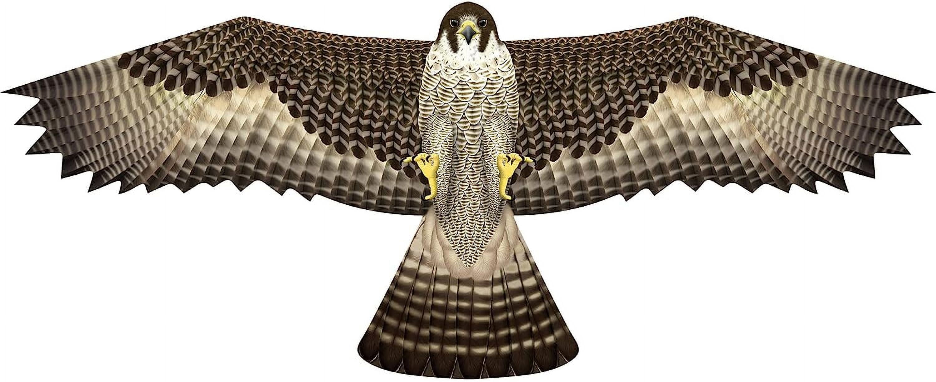 Brain Storm X Kites Birds of Prey Kite 48 Falcon
