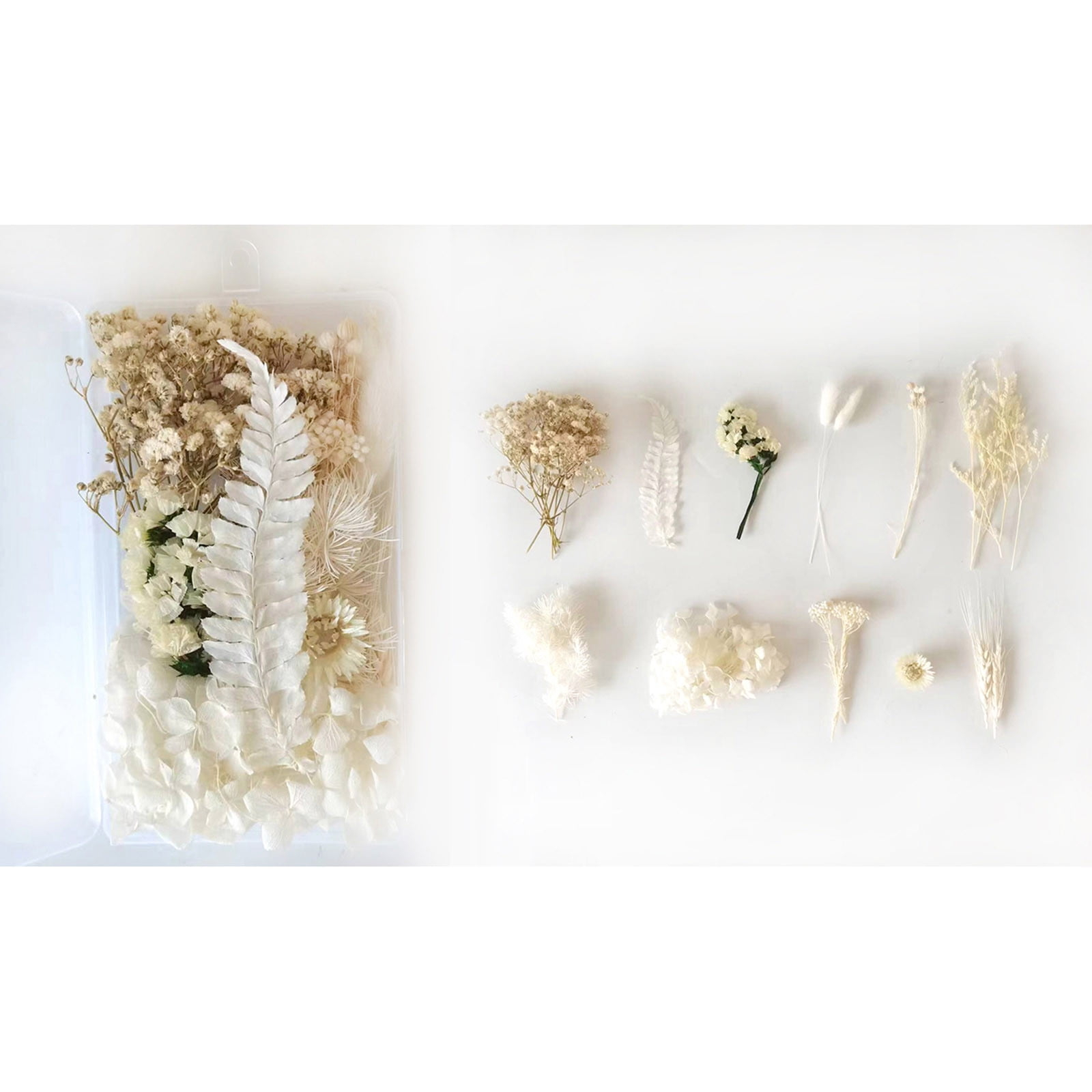 Yoloke DIY Dried Flowers Craft Kit - Natural Assorted Dried Florals for Making Everlasting Valentine's Day Gifts, Unique Design, Perfect for Framing & Creative Decor