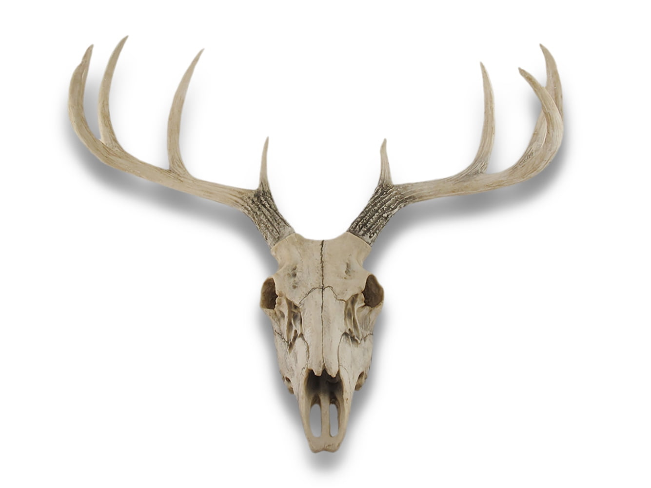 Ebros Gift Rustic Hunter Deer 10 Point Buck Skull Trophy Antlers Wall Mounted Plaque Decor Figurine 14.25" Long Hunter's Antler Rack Theme Deer Buck Hunting Skulls Trophies Hanging Sculpture