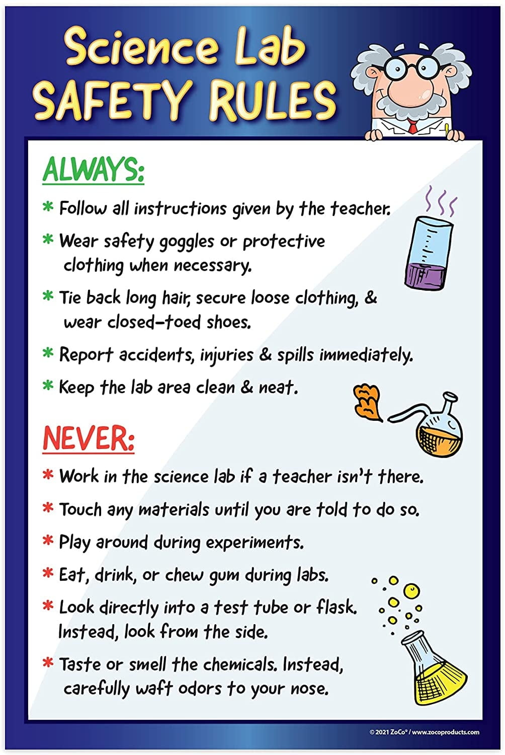 ZoCo: Science Lab Safety Rules Poster - 12"x18" - Laminated