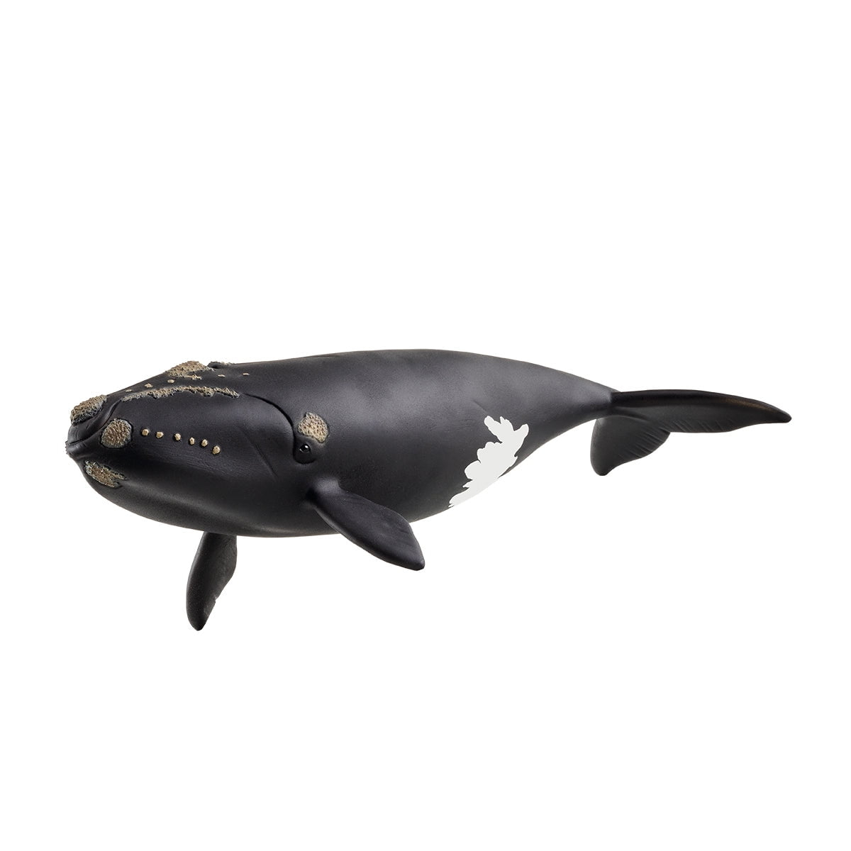 Schleich Wild Life North Atlantic Right Whale