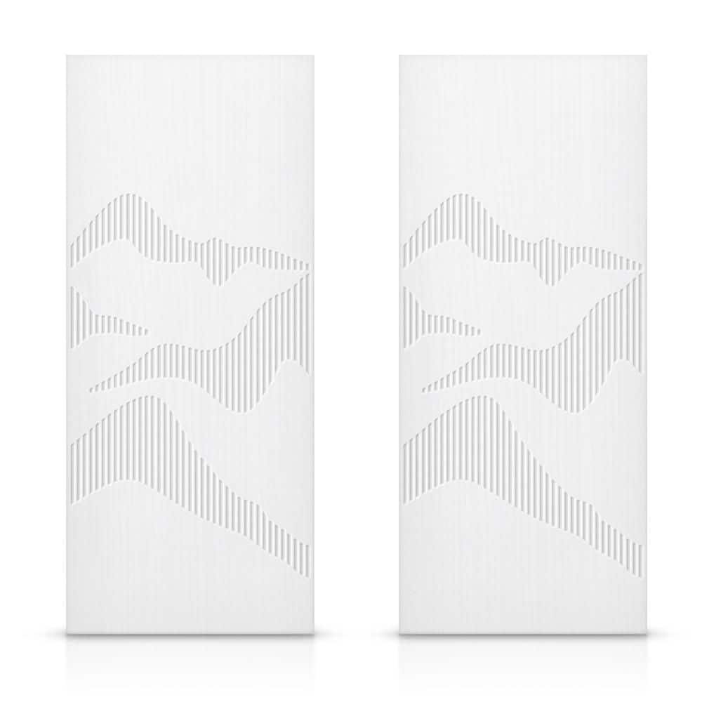 Calhome Hollow Paneled Painted Sliding Closet Doors