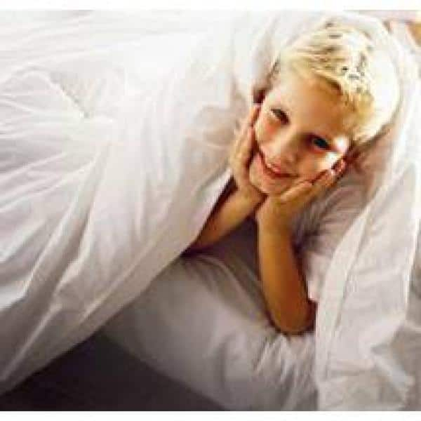 Sleep Safe Bedding Resort Bed Bug Dust Mite and Allergen Zip Cover Waterproof Mattress Protector