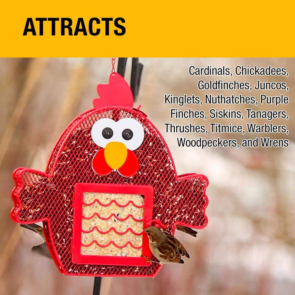 Heath Whimsical Chicken Suet 'n Seed Bird Feeder for Sunflower Seeds with 2 Free Bird's Blend Suet Cakes Included