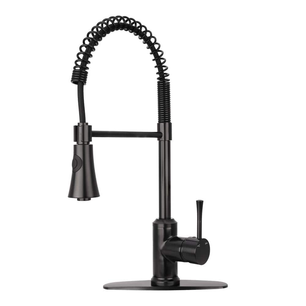Pull Down Single Handle Kitchen Faucet