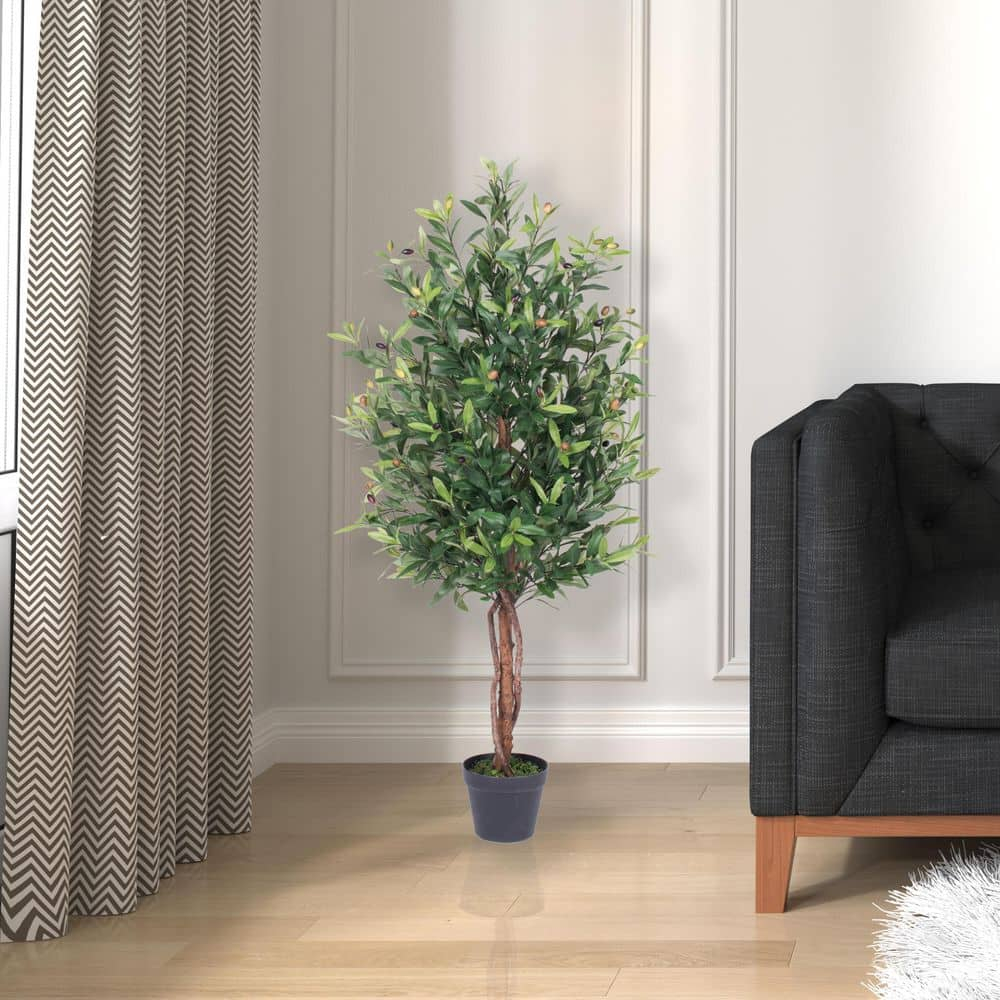 50 in. Green Olive Tree in Pot