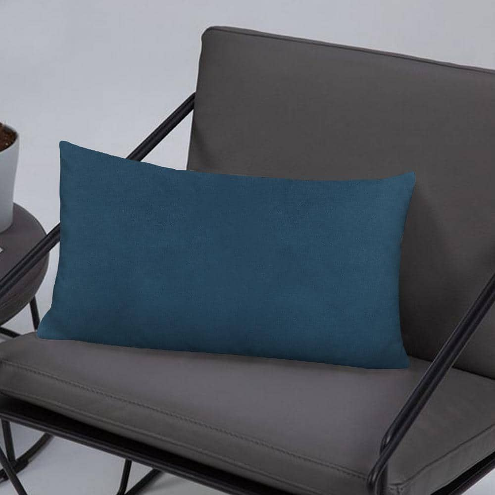 A1HC Set of 2 Luxurious Fine Soft Velvet Throw Pillow Covers Only, For Sofas, Beds, Vibrant Colors and Hidden YKK Zipper. Enhance your Living Space with Decorative Couch Pillow 12"x20", Teal