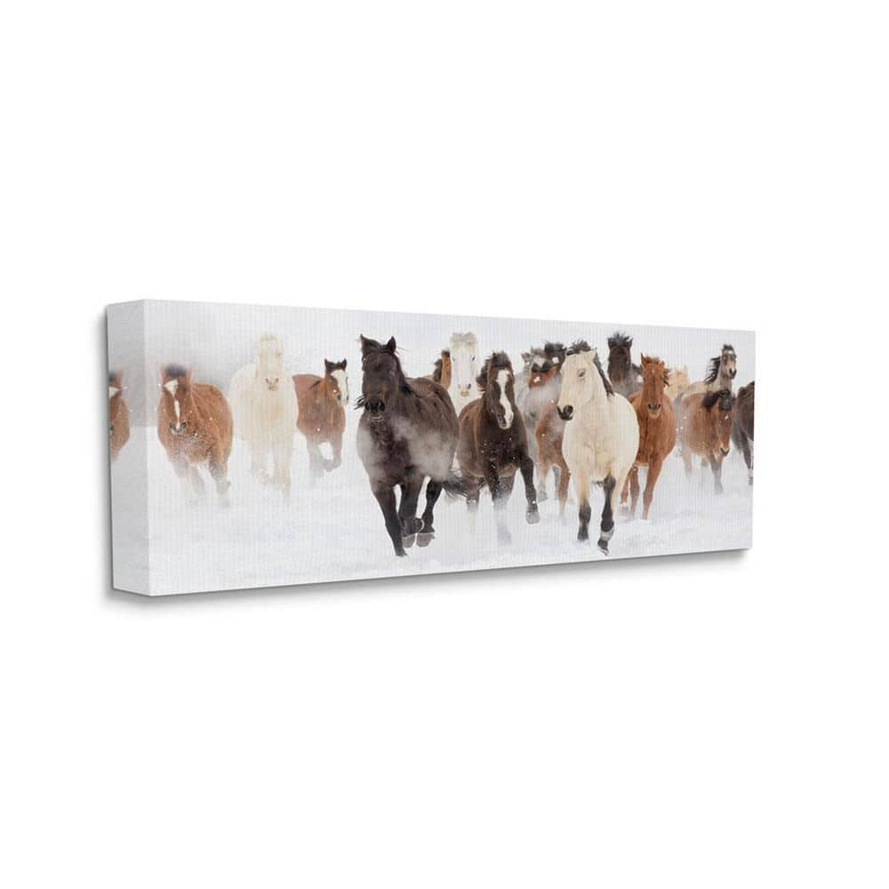 Stupell Industries Wild Horses Herd Foggy Winter Day Running Snow Painting , 30 x 13, Design by Danita Delimont