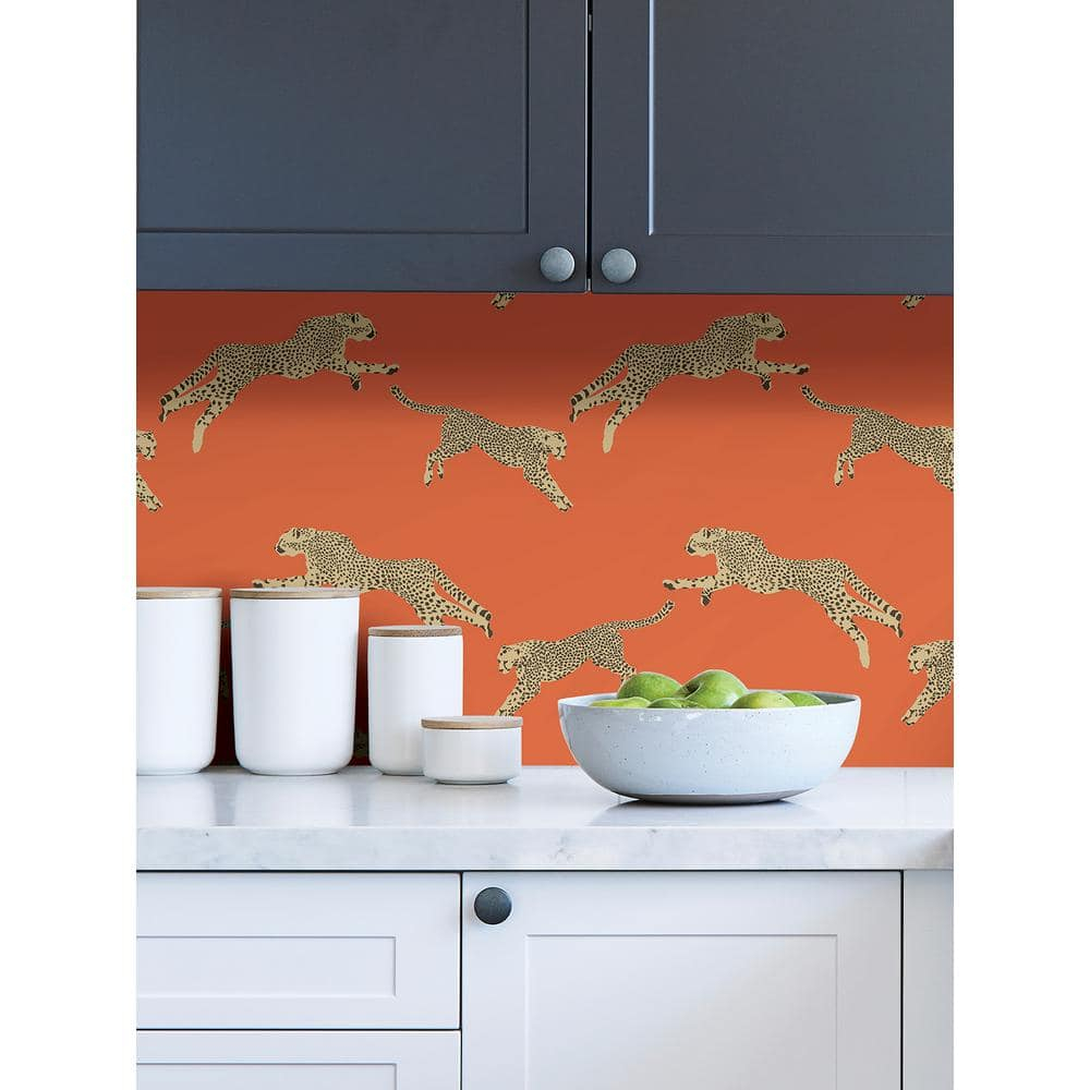 Scalamandre 30.75-sq ft Clementine Vinyl Novelty Self-adhesive Peel and Stick Wallpaper