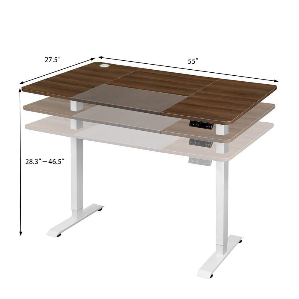 Lacoo Electric Height Adjustable Standing Desk with 55 inch Wooden Tabletop, Sit Stand Office Desk with Memory Preset Controller, Brown