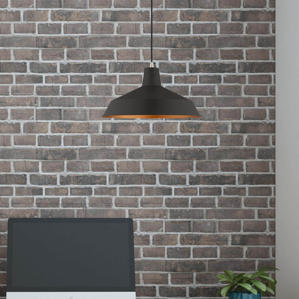 Livex Lighting Metal Shade 1 - Light Chandelier in  Black