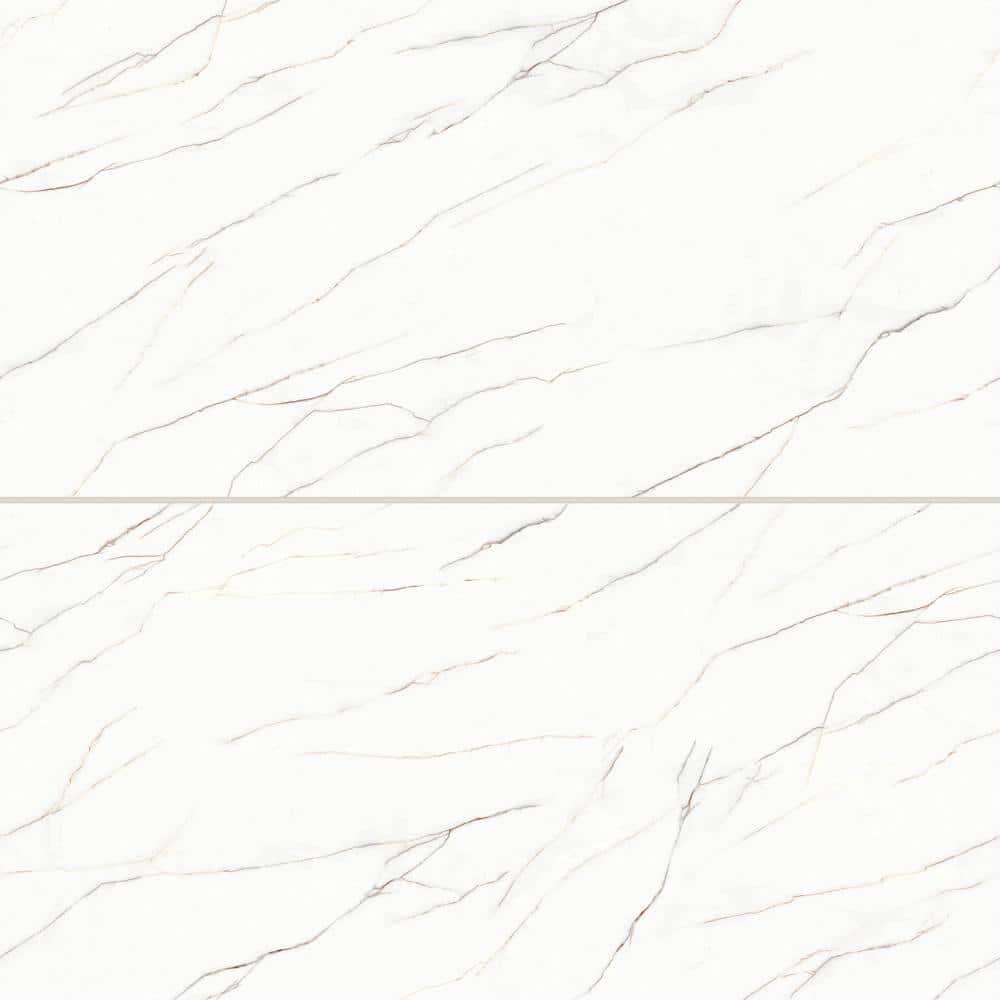 Shandar 24" x 48" Porcelain Marble Look Wall Floor Use Tile