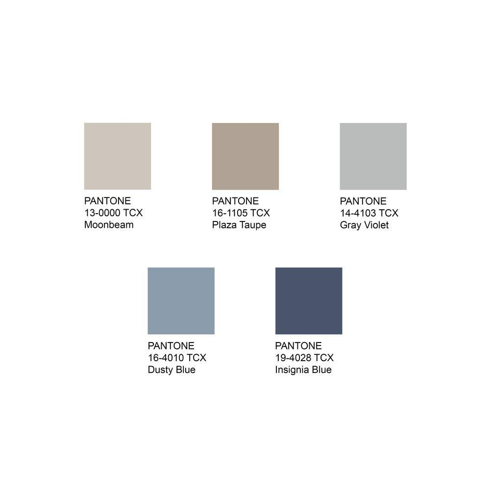 SAFAVIEH Brentwood Adams Oriental Area Rug, Navy/Light Grey, 10' x 13'
