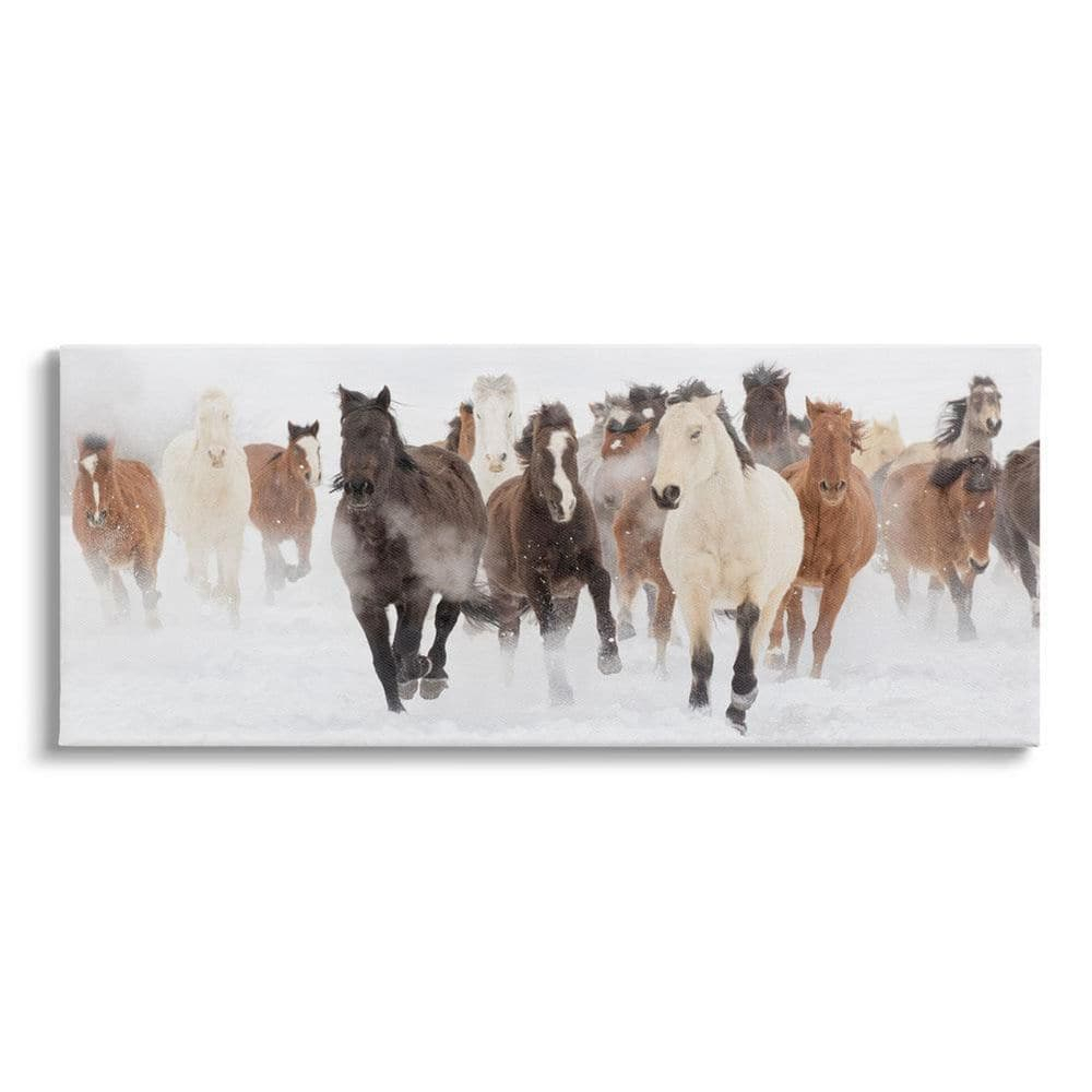 Stupell Industries Wild Horses Herd Foggy Winter Day Running Snow Painting , 30 x 13, Design by Danita Delimont