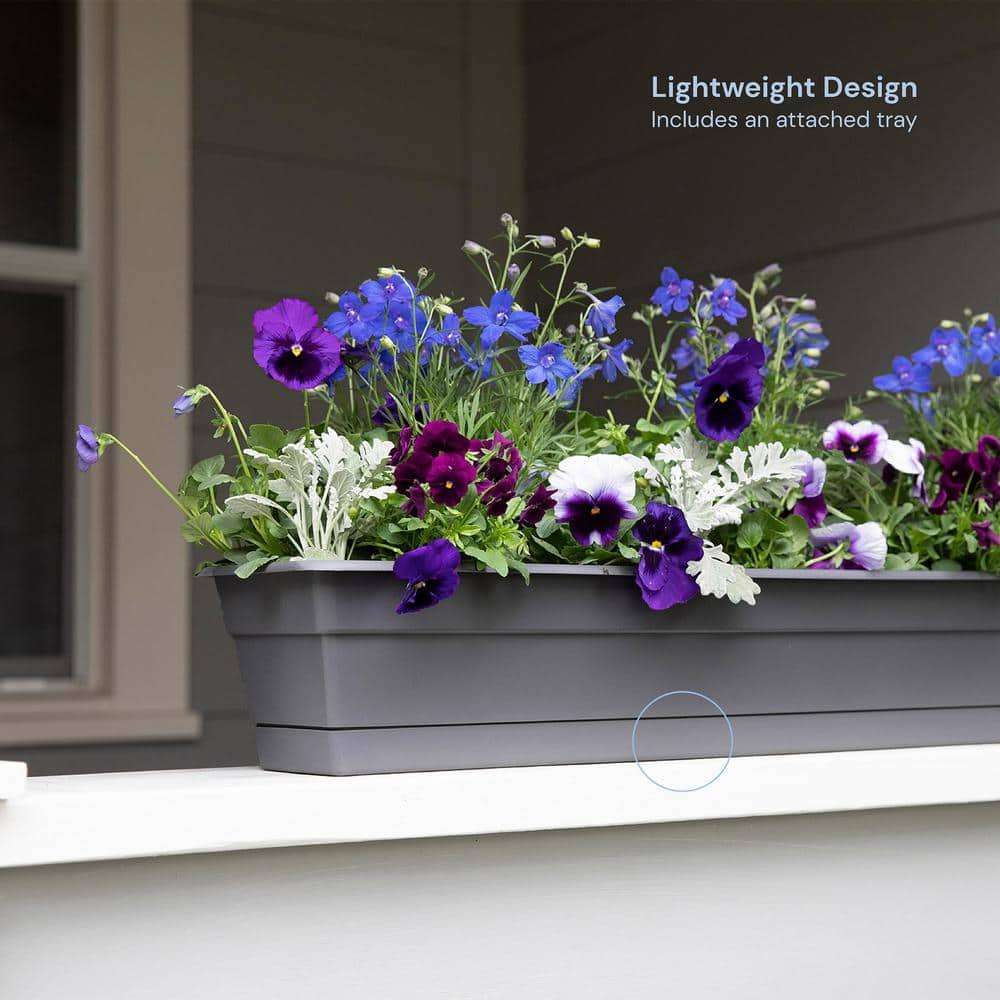 Bloem 24-in Wide Dura Cotta Resin Window Box Planter - Charcoal Gray