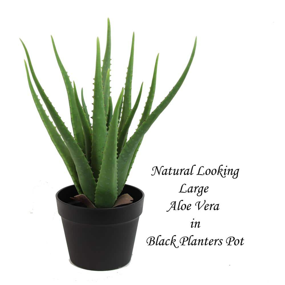 The Mod Greenhouse 19" Artificial Green Aloe Vera Plant in a Matte Black Grower's Pot