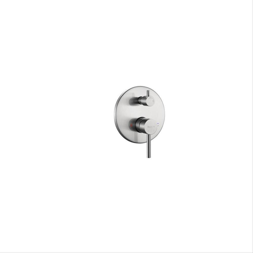 2-Spray Patterns Shower 10 in. Wall Mounted Dual Shower Heads, Hand Shower in Brushed Nickel, Valve Included