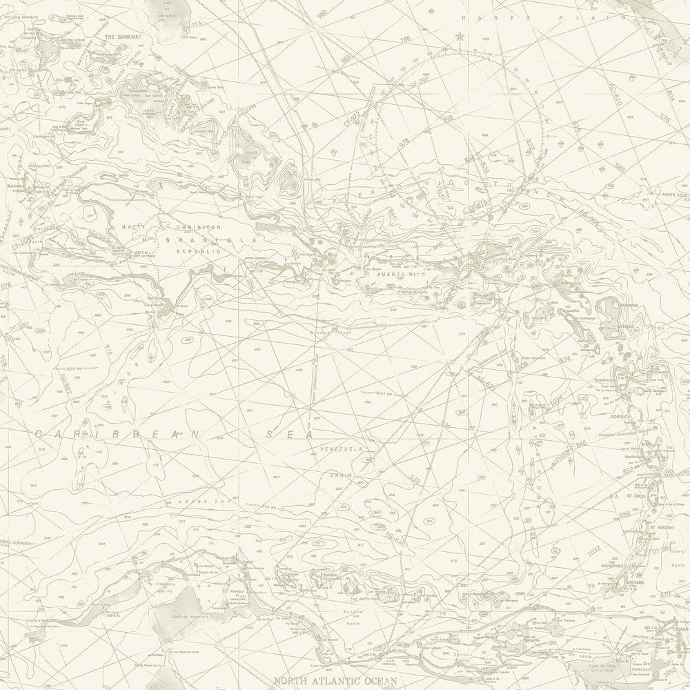 Chesapeake Charts Taupe Nautical Chart Wallpaper