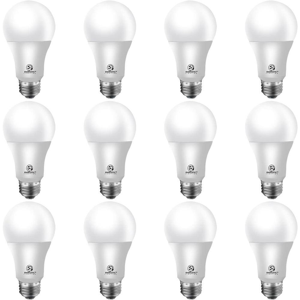 White Frosted Plastic A-Style LED Light Bulbs (12-Pack)