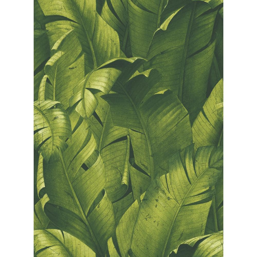 NextWall NW31000 Tropical Banana Leaves Peel & Stick Wallpaper, Green