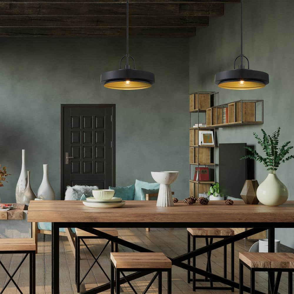 Designers Fountain Odea 14 inch 1-Light Matte Black Transitional Pendant Light, D295M-14P-MB