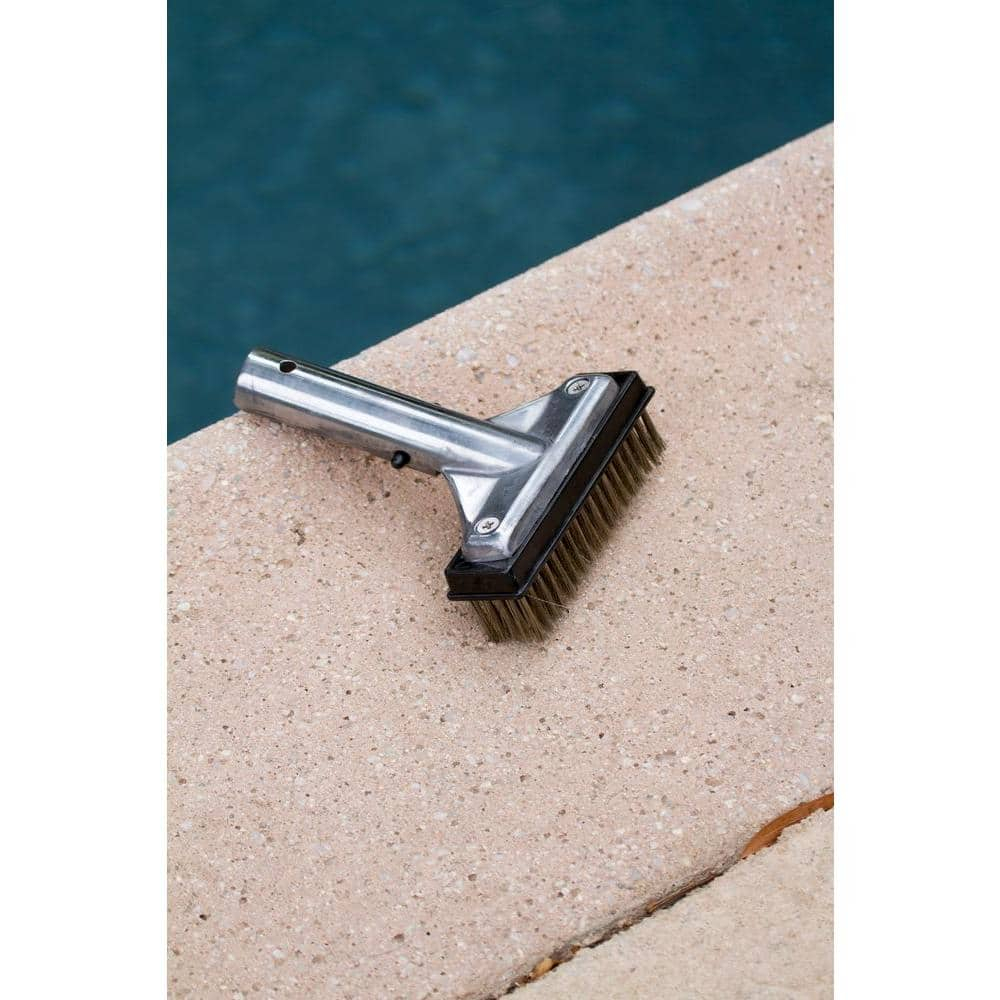 HDX 60278 5 in. Stainless Steel Bristle Swimming Pool Brush for Algae Removal