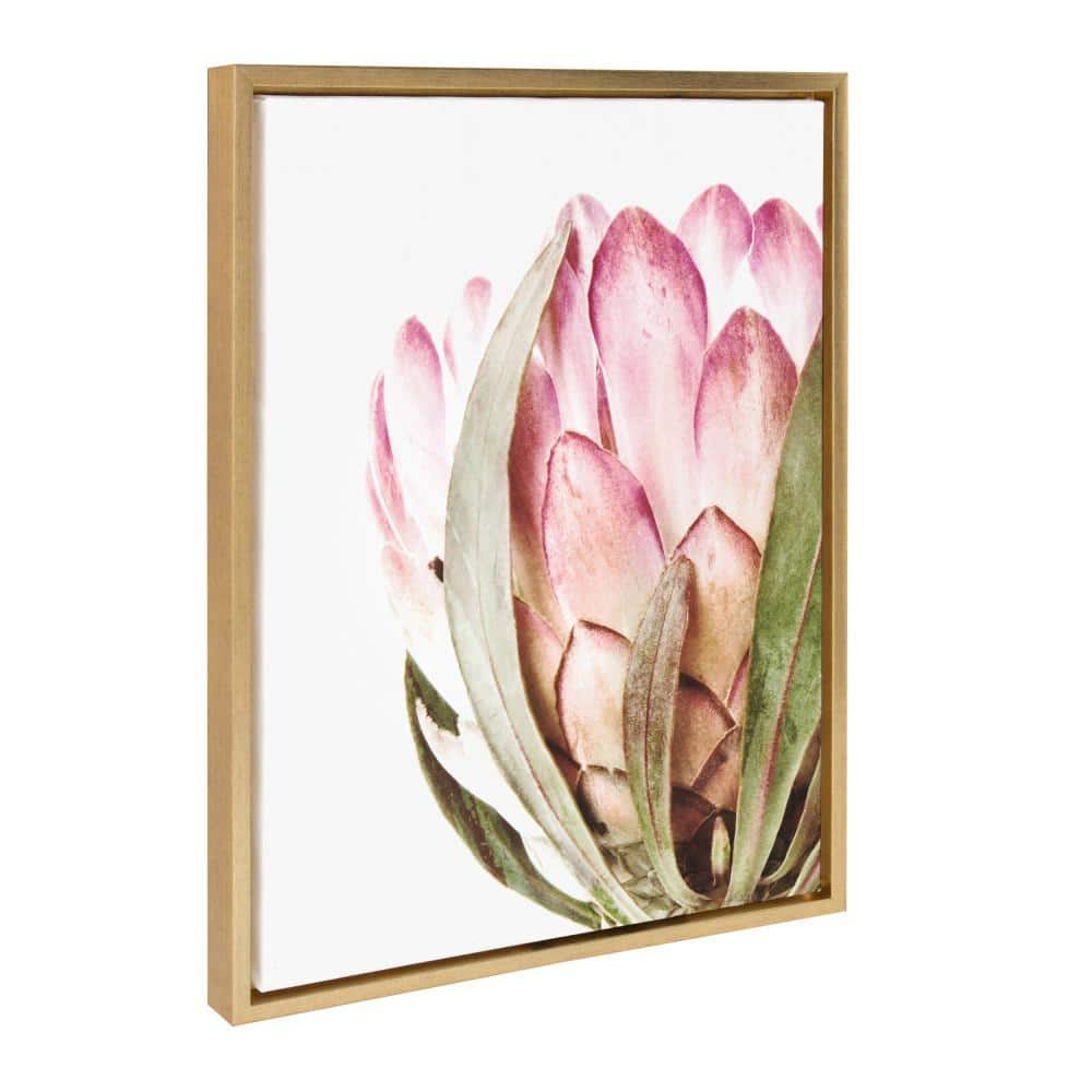 Pink Protea Flower 18x24 Framed Canvas Wall Art