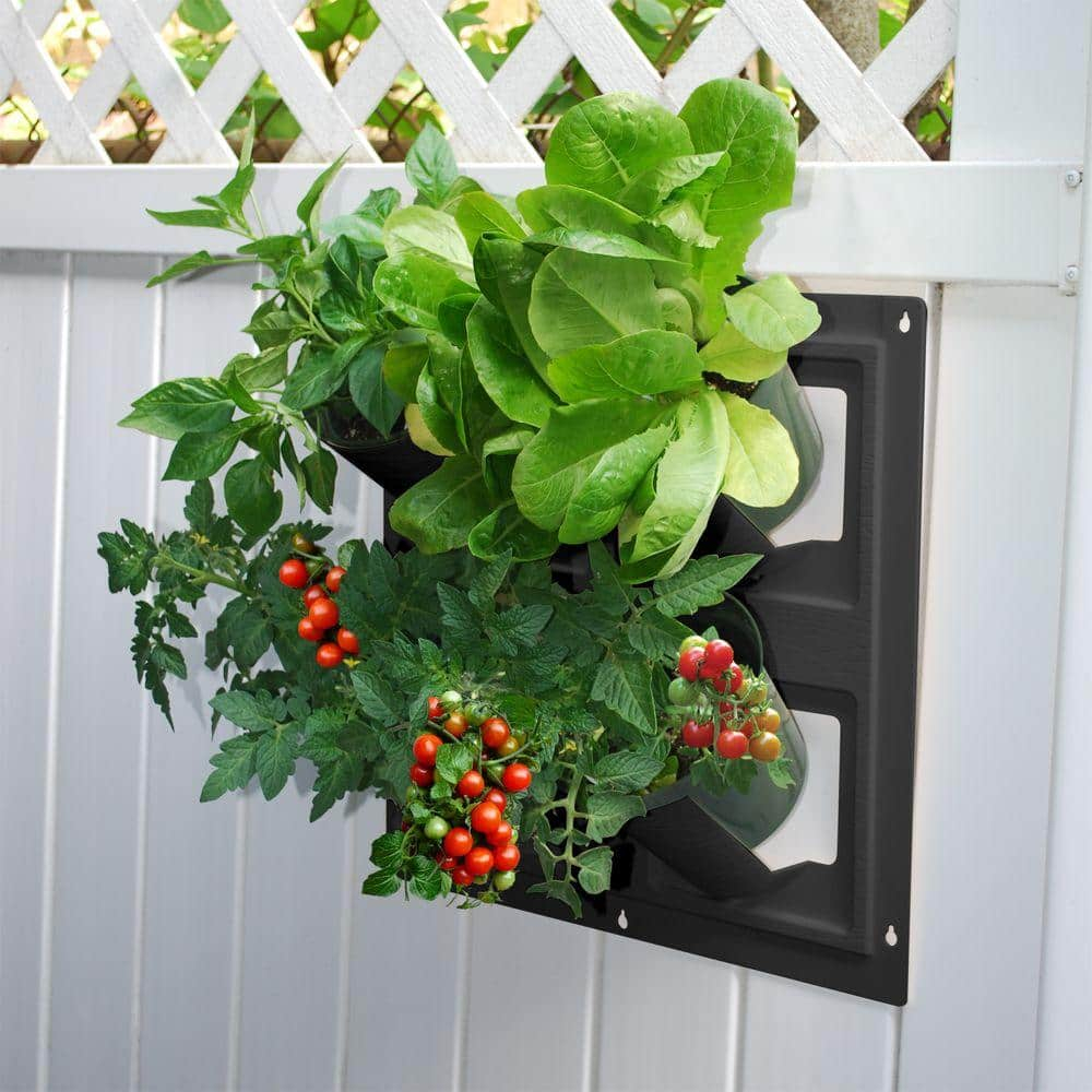 Bloomers Wall Flowers Vertical Gardening System – Create Gardens on Walls – Holds up to 4 Potted Plants – Black