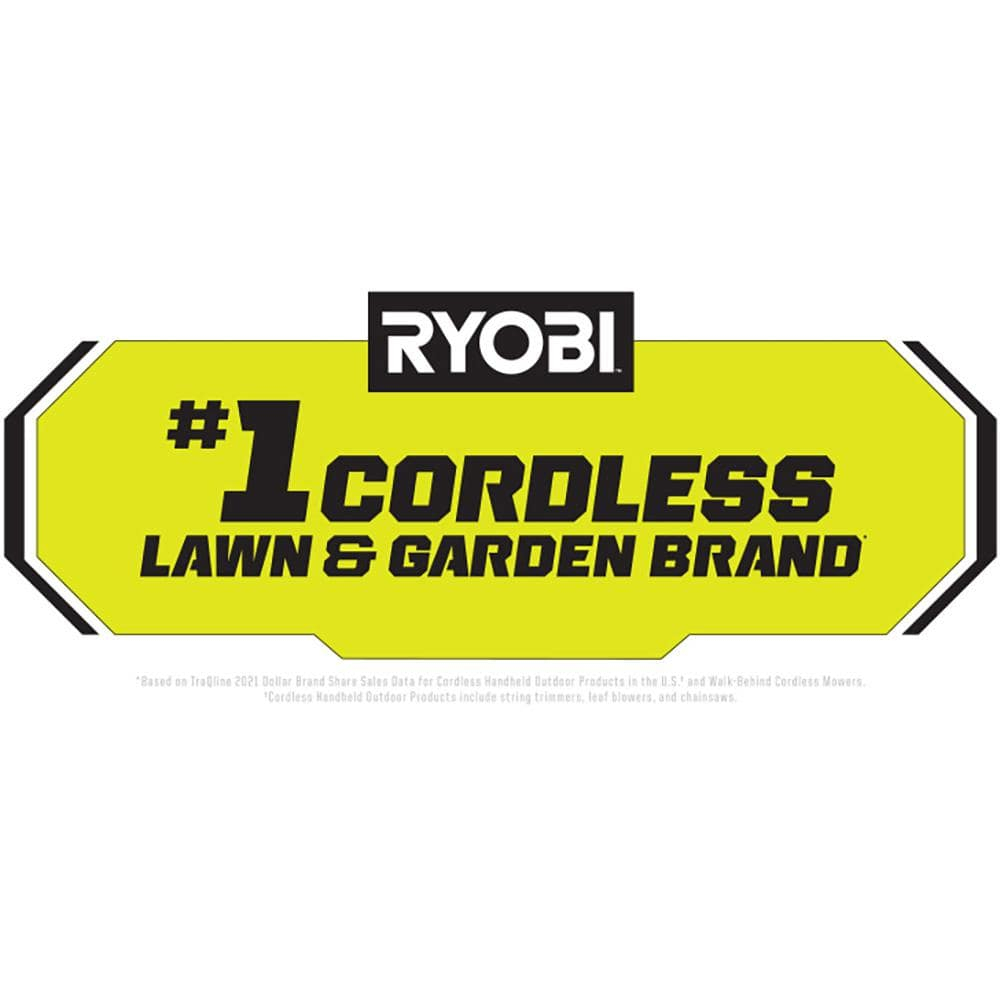 Ryobi 18V Electric Cordless Pole Saw with Lithium Ion Battery