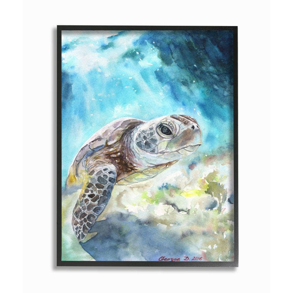 Stupell Industries Sea Turtle Ocean Animal Blue Watercolor Painting Framed Giclee Texturized Art by George Dyachenko