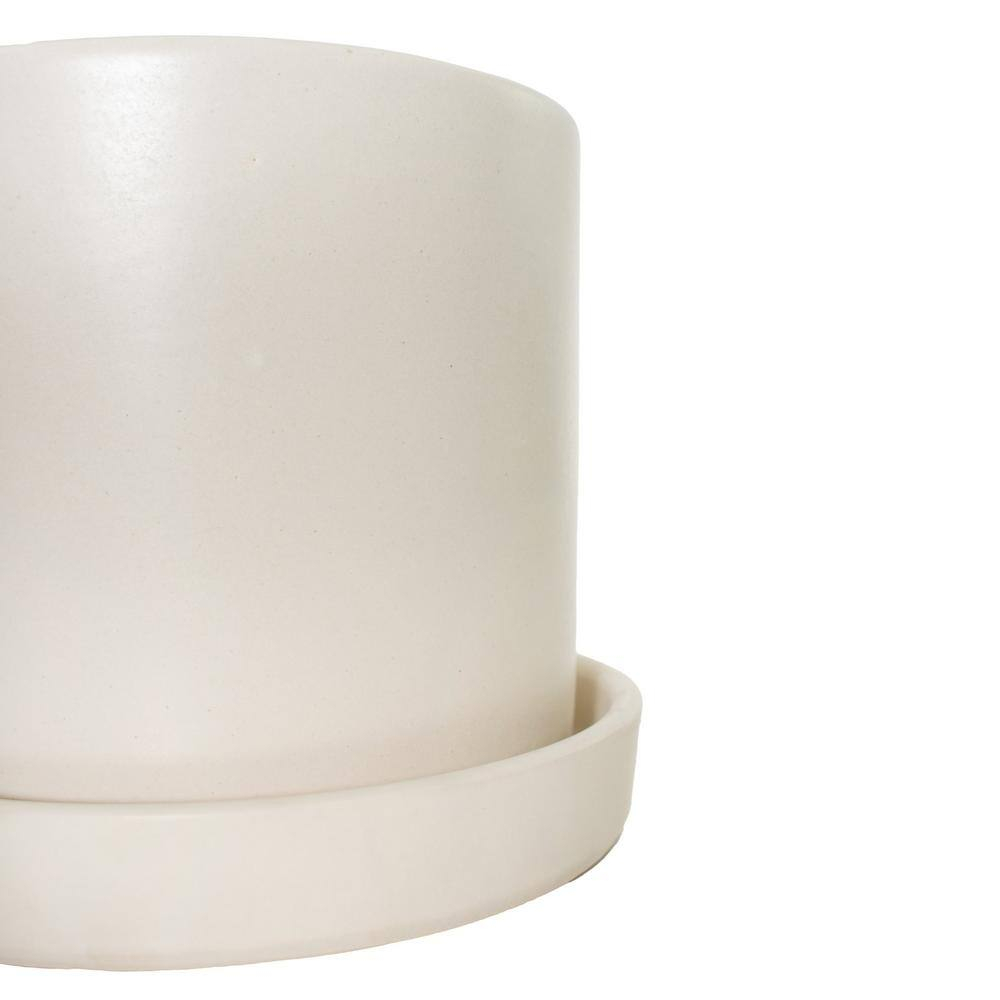 7 in. Semi Matte Cream Hyde Container with 6 in. Sanseveria Laurentii  Live Houseplant Indirect Sun