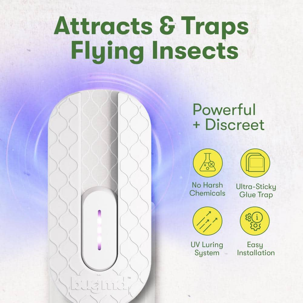 BugMD Fly Trap Indoor, Gnat Traps for House Indoor, Fruit Fly Trap, Gnat Killer Indoor, Plug in Bug Catcher, Indoor Fly Trap, Insect Traps Indoor, Fly Traps Indoor for Safer Home, Fruit Fly Killer