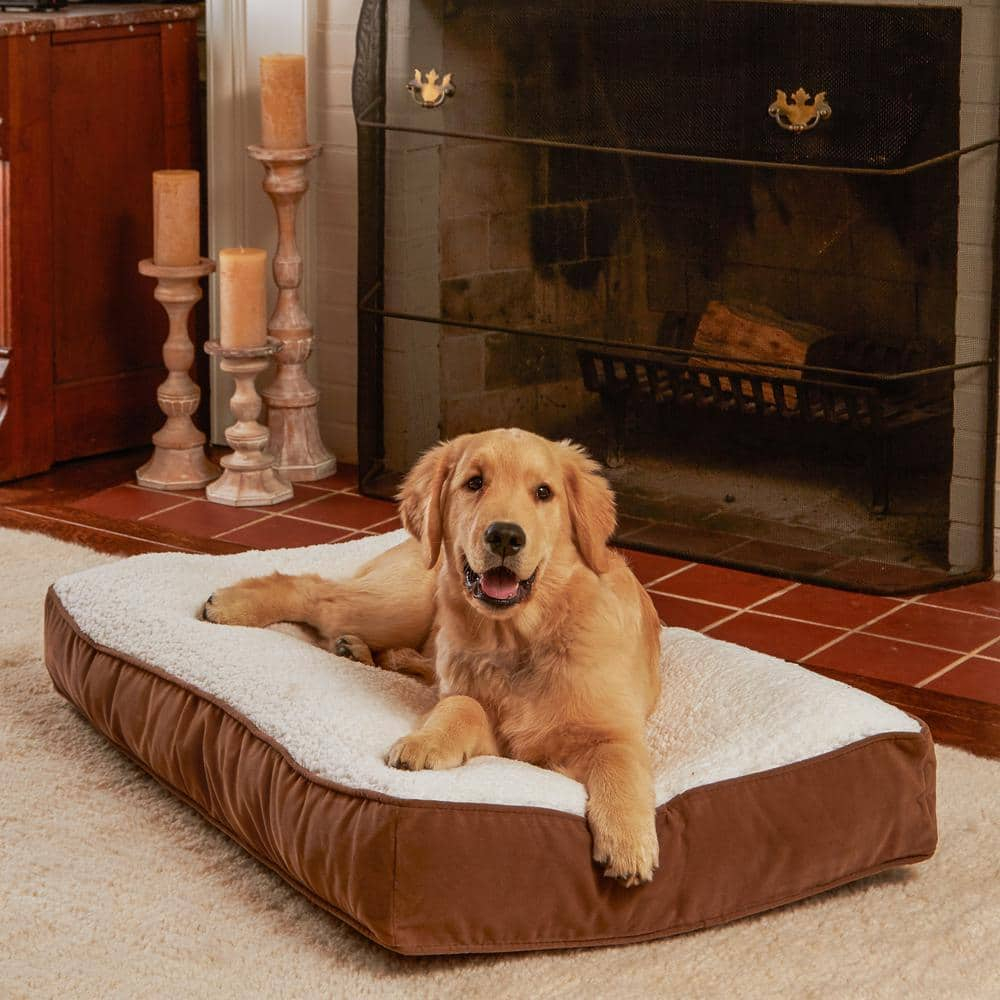 Happy Hounds Buster Sherpa Rectangle Pillow Style Dog Bed, Latte, Small (36 x 24 in.)
