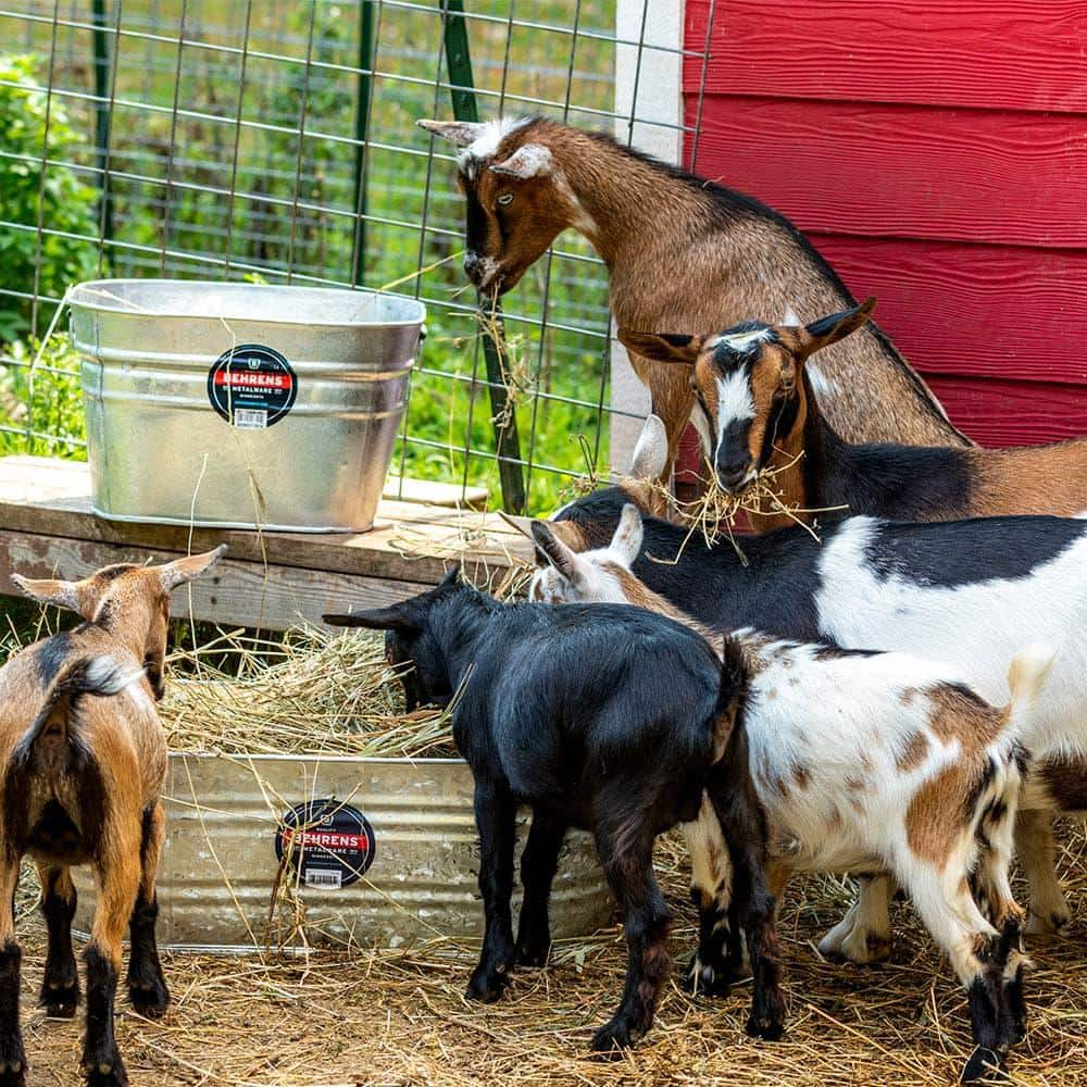 Behrens Manufacturing 17301 12 gal Hot Dipped Zinc Steel Square Tub