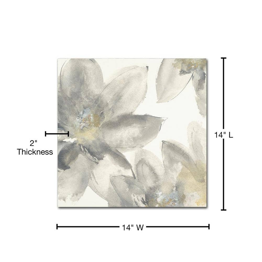 Trademark Fine Art 'Gray and Silver Flowers I' Canvas Art by Chris Paschke