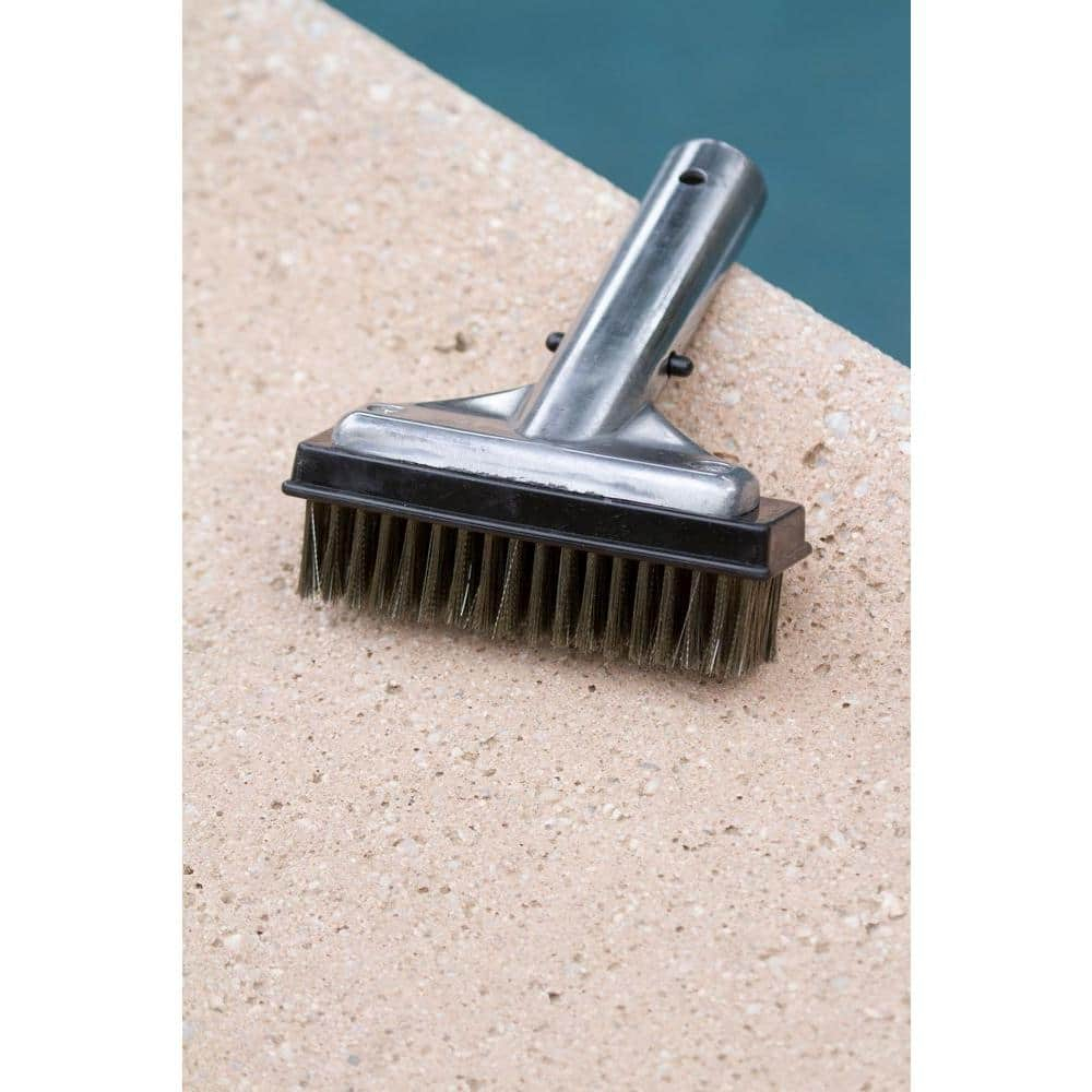 HDX 60278 5 in. Stainless Steel Bristle Swimming Pool Brush for Algae Removal