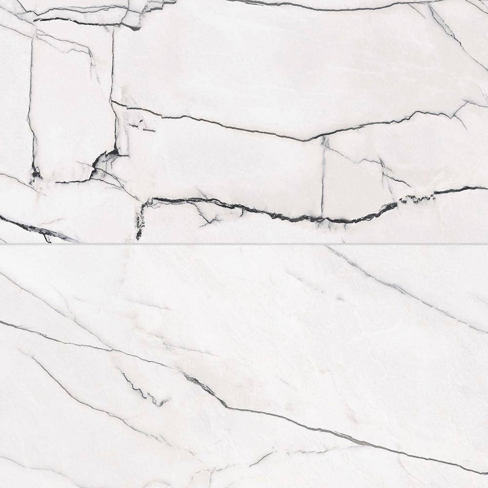 Gemma 24" x 48" Polished Porcelain Marble Look Wall & Floor Tile